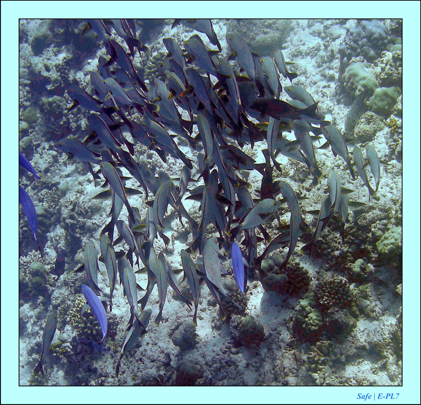 2023 - 07 - Sandies Bathala - 129